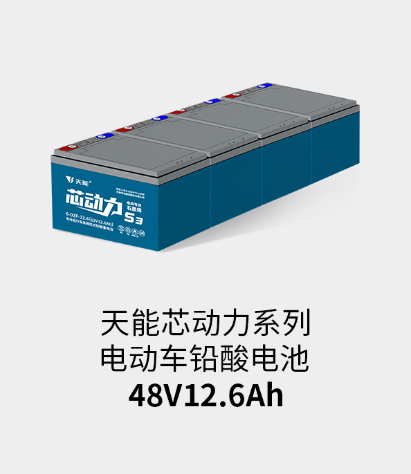 w88win优德电池48v12ah