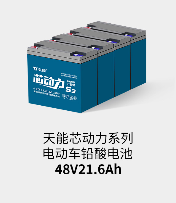 w88win优德电池48v20ah