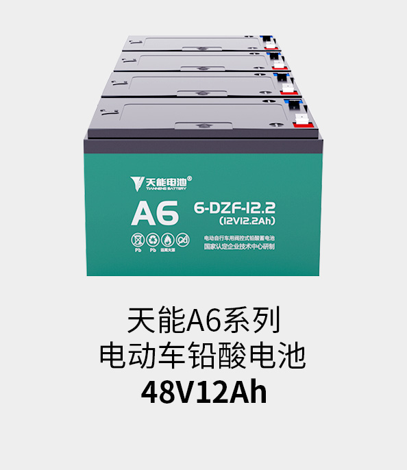 w88win优德电池48v12ah