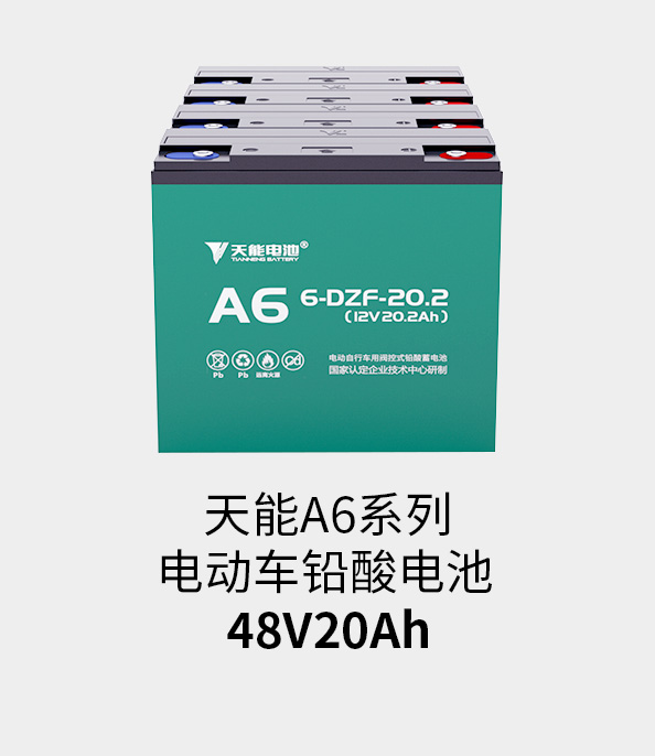 w88win优德电池48v20ah