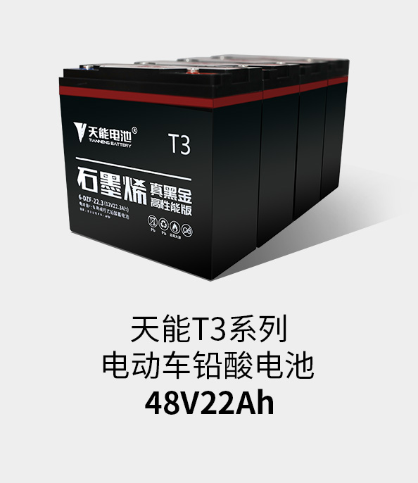 w88win优德T3系列48v22ah