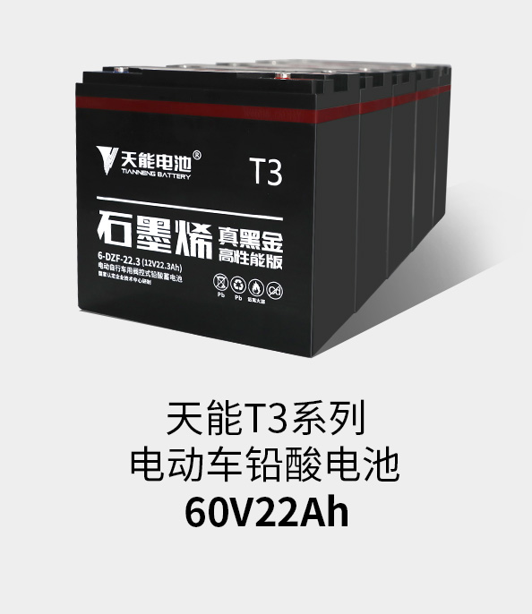 w88win优德T3系列60v22ah